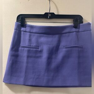 Stylish Lavender Mini Skirt